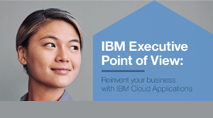 IBM Executive Point of View
